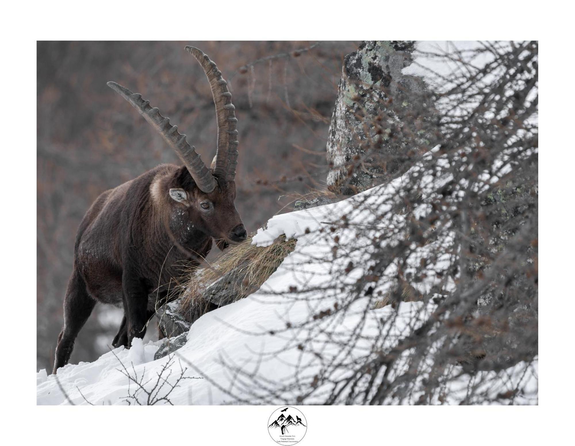 Appartamento Lo Bou Valsavarenche Exteriör bild